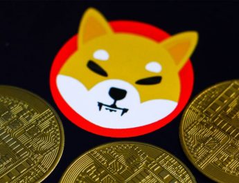 Shiba Inu Is the Perfect cryptocurrency